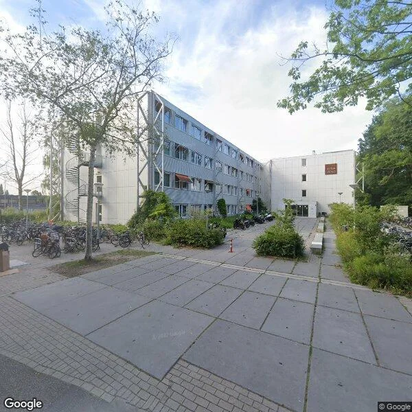 Straatbeeld van Ringslangpad 321, 1098SJ Amsterdam