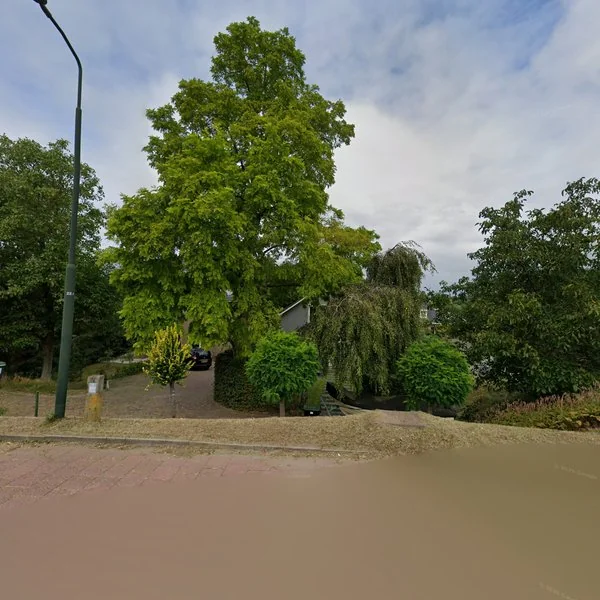 Straatbeeld van Rivierdijk 463A, 3372BW Hardinxveld-Giessendam