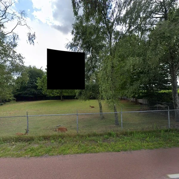 Straatbeeld van Rouwstraat 3, 5409SE Odiliapeel