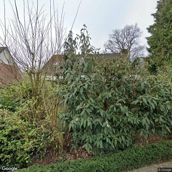 Straatbeeld van Saffierstraat 19, 7314HH Apeldoorn