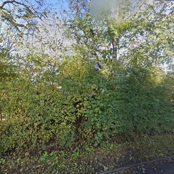 Straatbeeld van Sandepark 11, 1759NK Callantsoog
