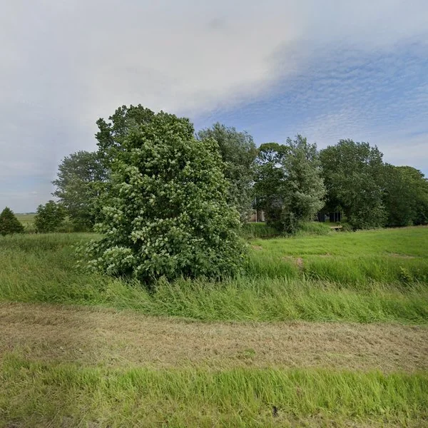 Straatbeeld van Sassingawei 8, 8844KS Hinnaard