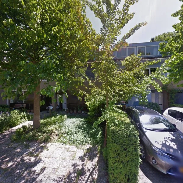 Straatbeeld van Satijnvlinder 15, 2317KJ Leiden