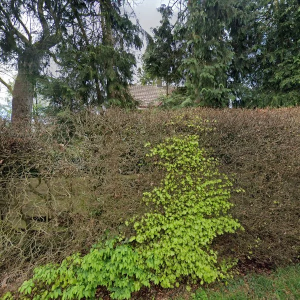 Straatbeeld van Schapendrift 63, 1261HM Blaricum