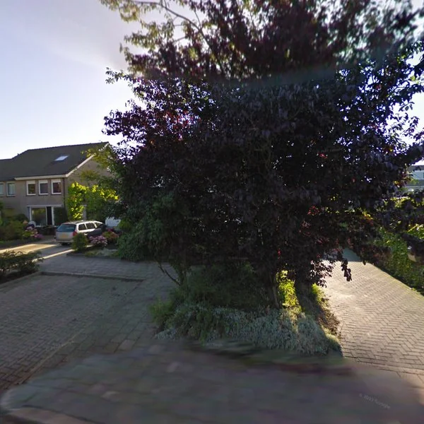 Straatbeeld van Sillân 61, 9055MA Britsum