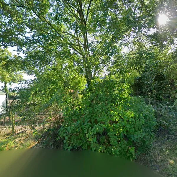 Straatbeeld van Sint Baronstraat 8, 8434NS Waskemeer