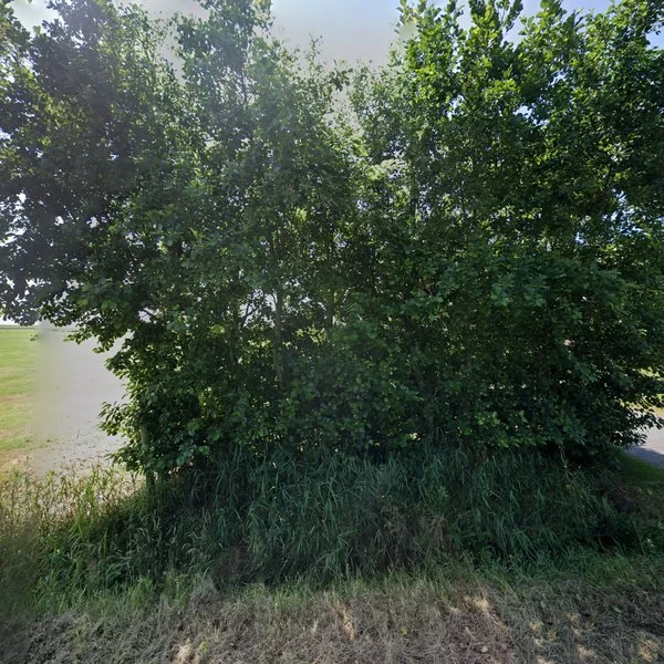 Straatbeeld van Smitteweg 10, 9162EC Ballum