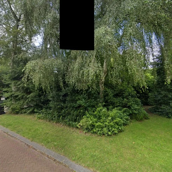 Straatbeeld van Sparrenlaan 11, 9471PG Zuidlaren