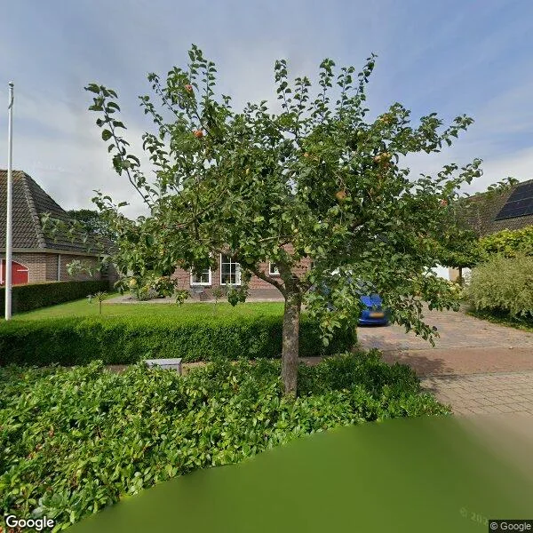 Straatbeeld van Stadsweg 51, 9885PA Lauwerzijl