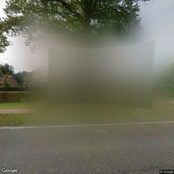 Straatbeeld van Steenbergseweg 41, 4661RH Halsteren