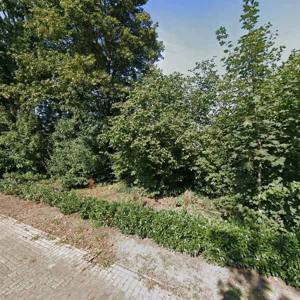 Straatbeeld van Steenboerweg 17, 8042AT Zwolle