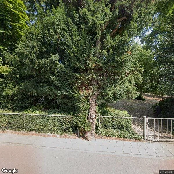 Straatbeeld van Steenweg 51, 4181AK Waardenburg