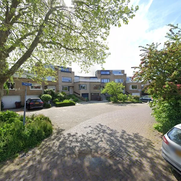 Straatbeeld van Stokroos 3, 2317EM Leiden