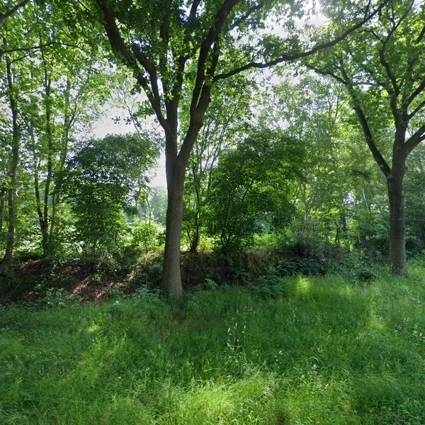 Straatbeeld van Stroovledder 12a, 7991SB Dwingeloo