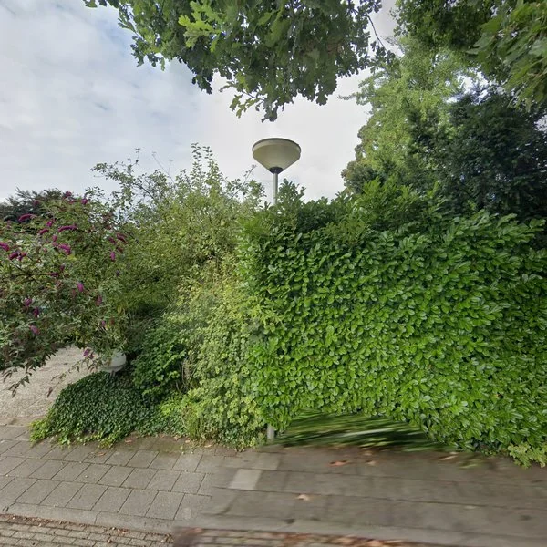 Straatbeeld van 't Rikkelder 44, 7261BE Ruurlo