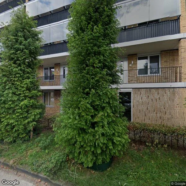 Straatbeeld van Tempo Doeloestraat 244, 1336NB Almere