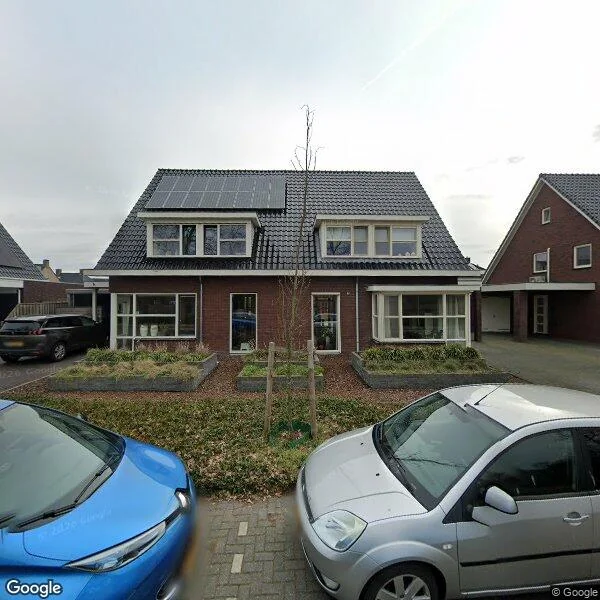 Straatbeeld van ter Borgweg 4, 8105RM Luttenberg