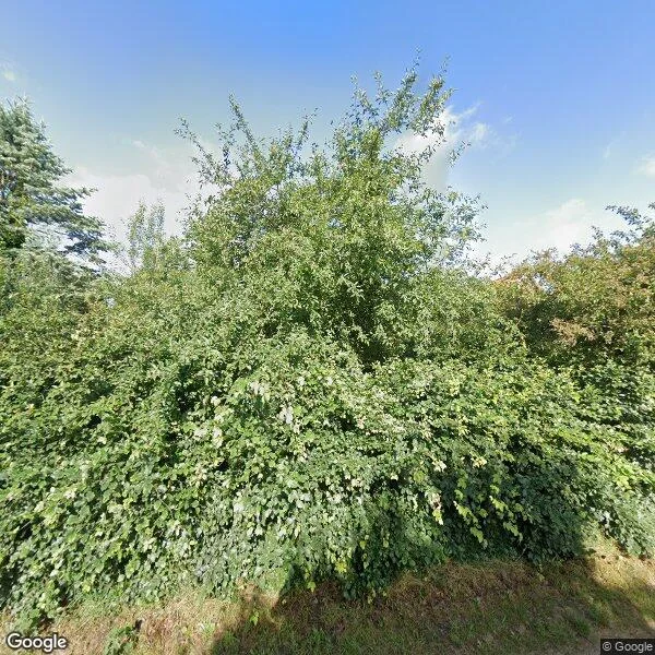 Straatbeeld van Terhoeksweg 1a, 7448RX Haarle