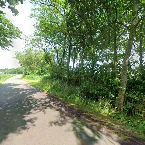 Straatbeeld van Tijs Smitweg 3, 8893HX Landerum