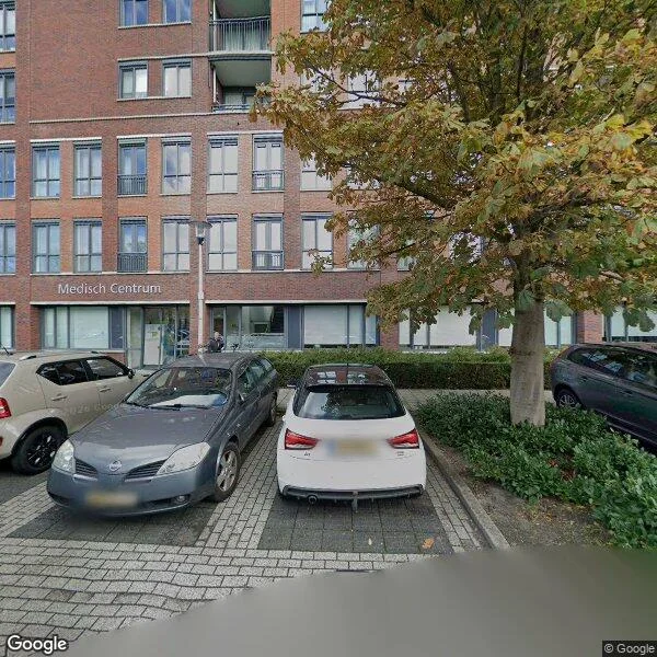 Straatbeeld van Titus Brandsmahof 29, 7606SB Almelo