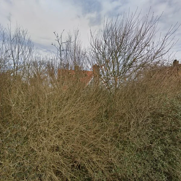 Straatbeeld van Tjallewallerweg 11, 1742MA Schagen