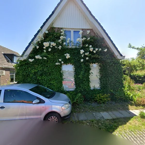 Straatbeeld van Tjalling Harkeswei 47, 8409CM Hemrik