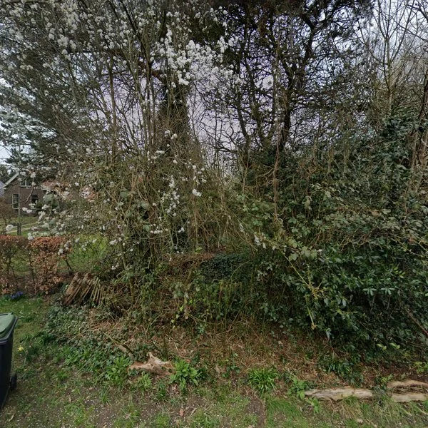 Straatbeeld van Tolhuisweg 27, 9475PD Midlaren