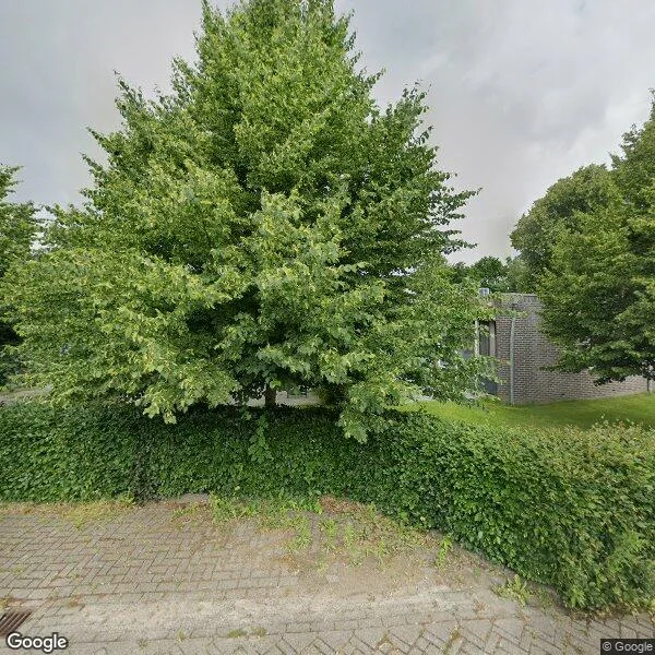 Straatbeeld van Tolvepaed 4B, 8468BJ Haskerdijken