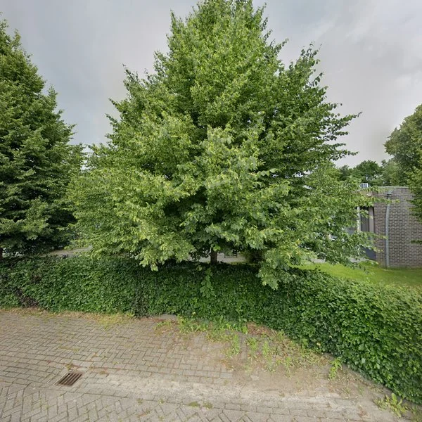 Straatbeeld van Tolvepaed 4C, 8468BJ Haskerdijken