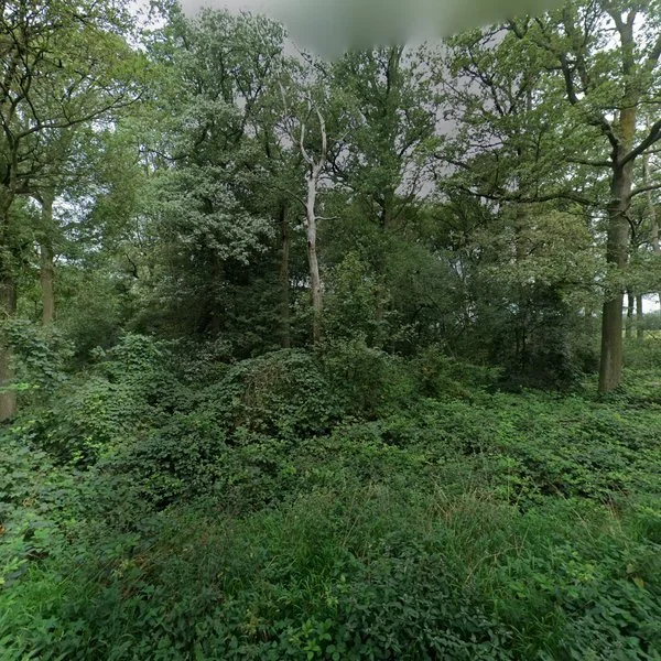 Straatbeeld van Tongelaar 4, 5451HS Mill