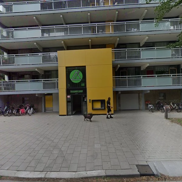 Straatbeeld van Triangelhof 9, 1544WP Zaandijk