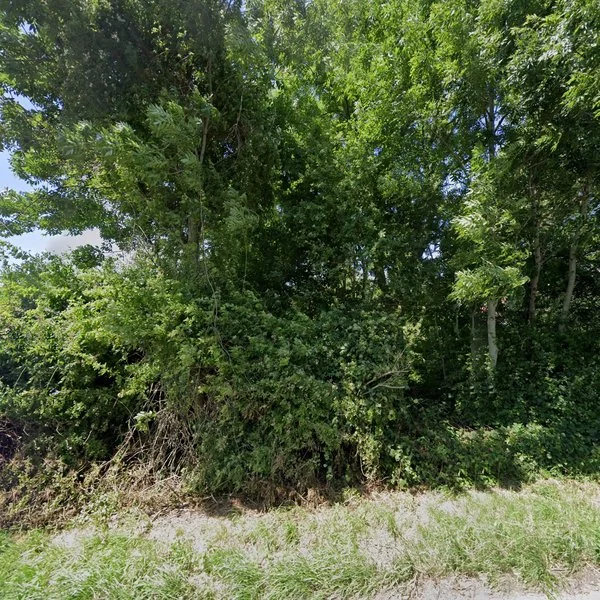 Straatbeeld van Troelstraweg 29, 8524DK Teroele