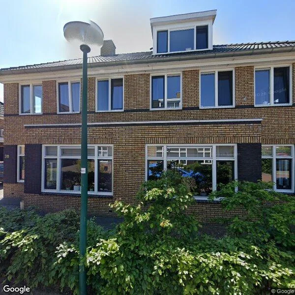Straatbeeld van Tulpentuin 30, 3994PV Houten