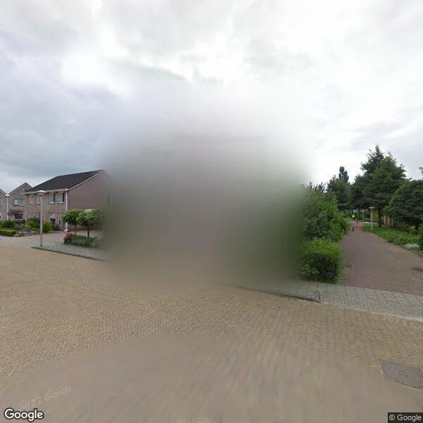 Straatbeeld van Tureluur 23, 7951MH Staphorst