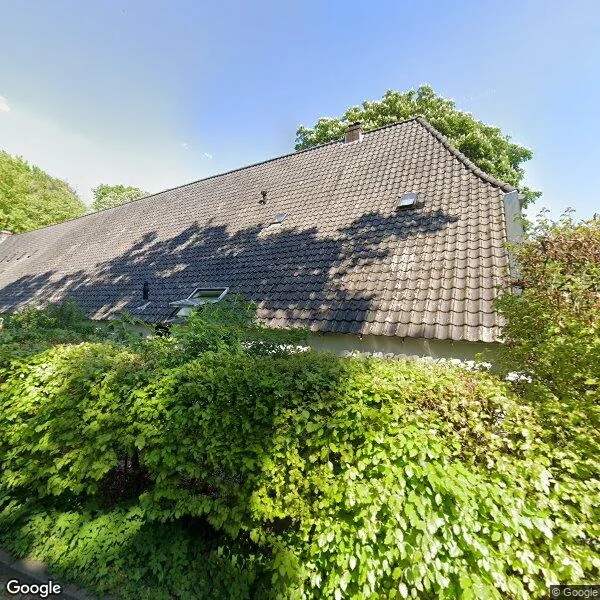 Straatbeeld van van Borsselenweg 34, 6862BJ Oosterbeek