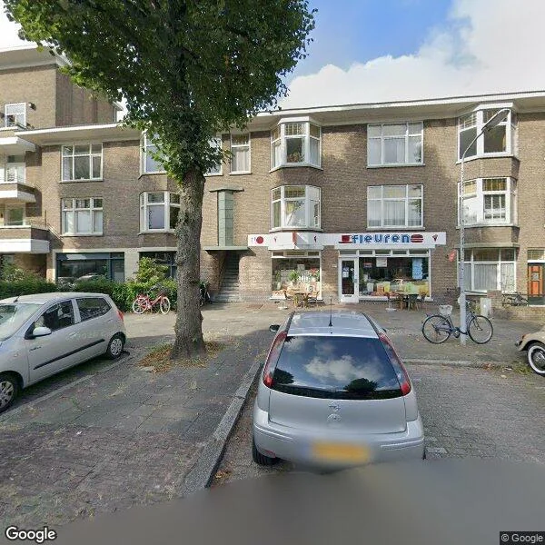 Straatbeeld van van de Wateringelaan 169, 2274CE Voorburg