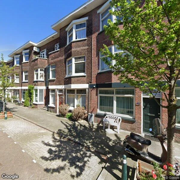 Straatbeeld van Van den Boschstraat 232, 2595AG Den Haag