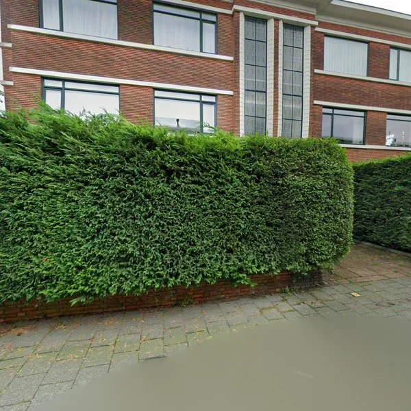 Straatbeeld van Van Neckstraat 113, 2597SE Den Haag