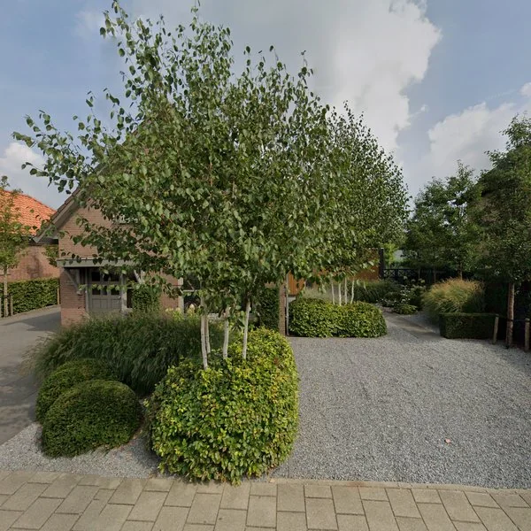 Straatbeeld van van Oosterhoutstraat 8, 4891AJ Rijsbergen