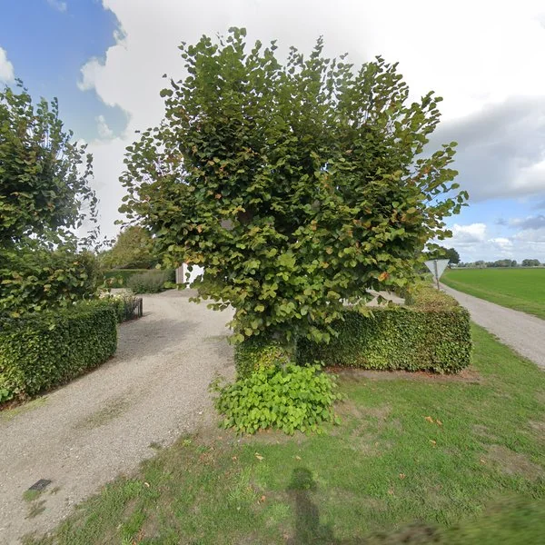 Straatbeeld van Venloseweg 31, 5993PH Maasbree