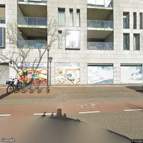 Straatbeeld van Viaductweg 39, 3161RX Rhoon