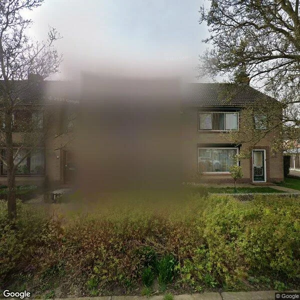 Straatbeeld van Vliedbergstraat 13, 4471CB Wolphaartsdijk