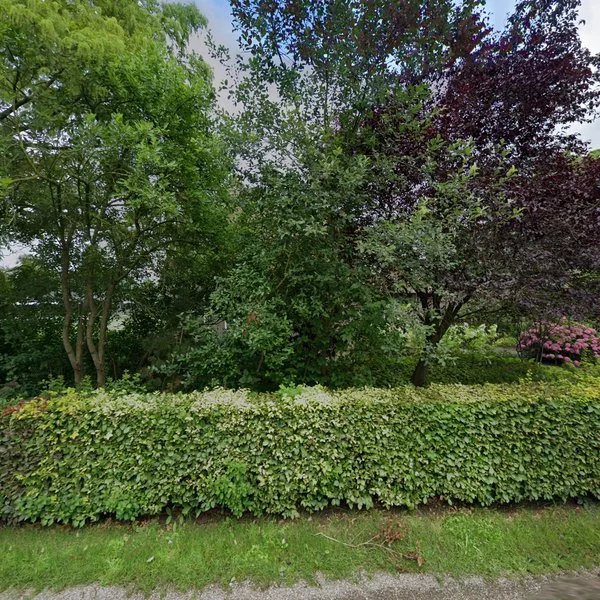 Straatbeeld van Voorsterweg 169, 7399AA Empe