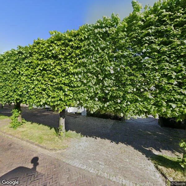 Straatbeeld van Voorstraat 44, 4153AM Beesd
