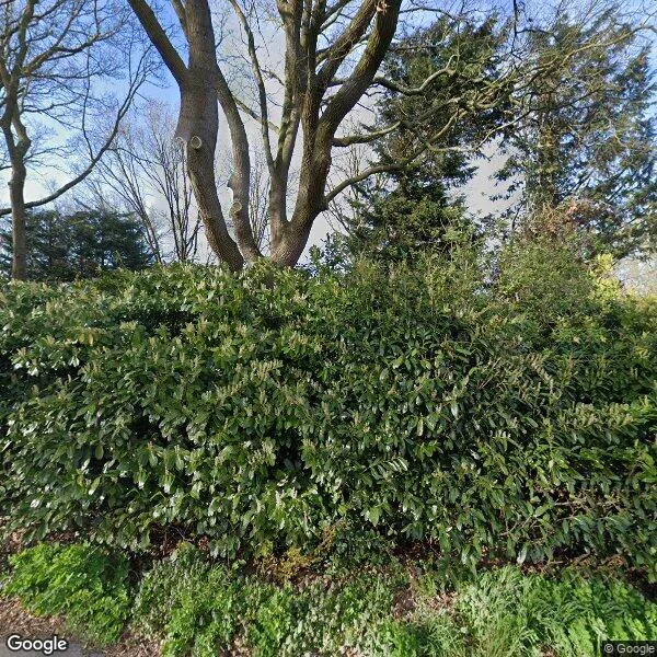Straatbeeld van Vosheining 2a, 5032PD Tilburg