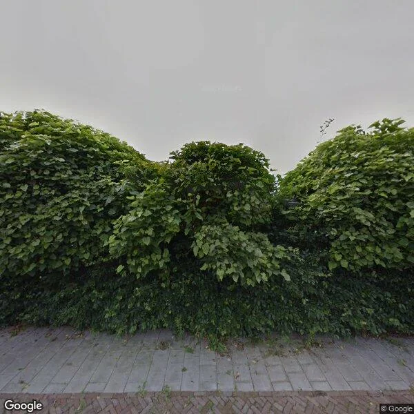 Straatbeeld van Waardenborchstraat 1B, 7451GH Holten