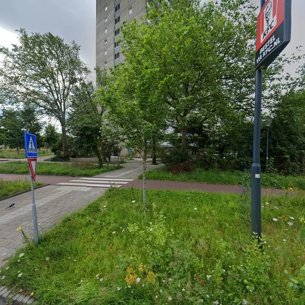 Straatbeeld van Waddenstraat 517, 2036LN Haarlem