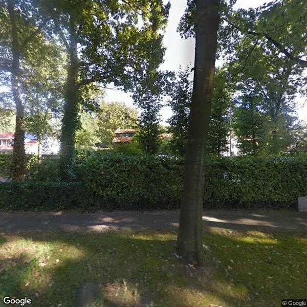 Straatbeeld van Warandelaan 50, 4904PD Oosterhout