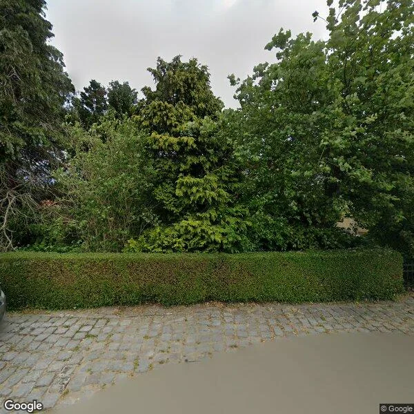 Straatbeeld van Welbergsedijk 50, 4651TG Steenbergen