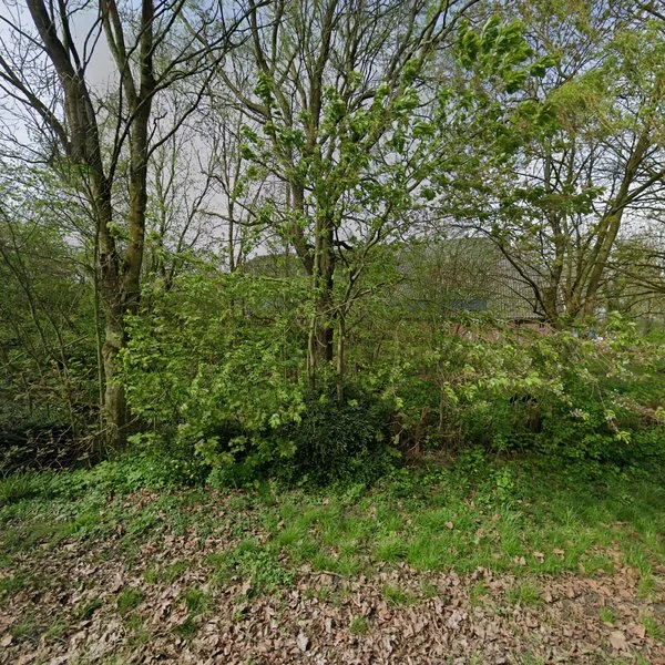 Straatbeeld van Westendorpweg 4, 9907PD Losdorp